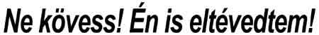 autodekor_szvg026.jpg