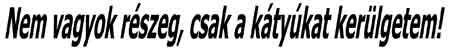 autodekor_szvg031.jpg