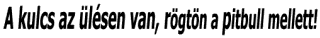 poen_szoveg_001_m.gif